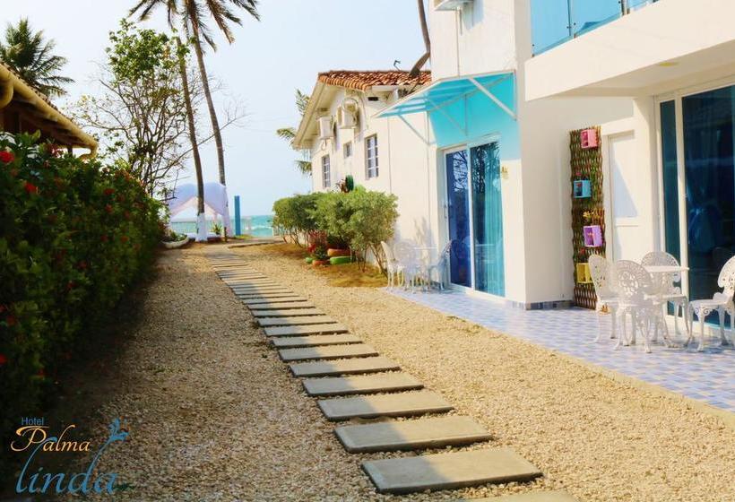 Hotel Palma Linda | Coveñas | Sucre | Colombia 7