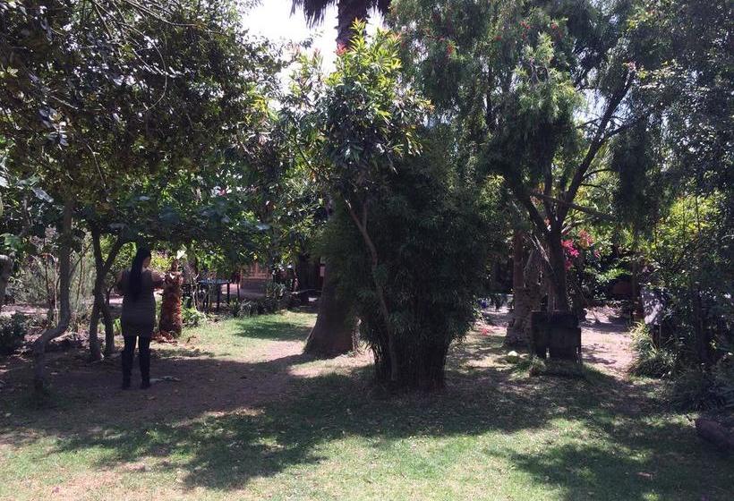 Guaque Hostel | Sogamoso | Boyaca | Colombia 10