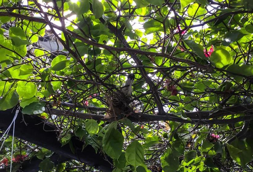 Bed and Breakfast Casa Ines | Santa Marta | Magdalena | Colombia 11