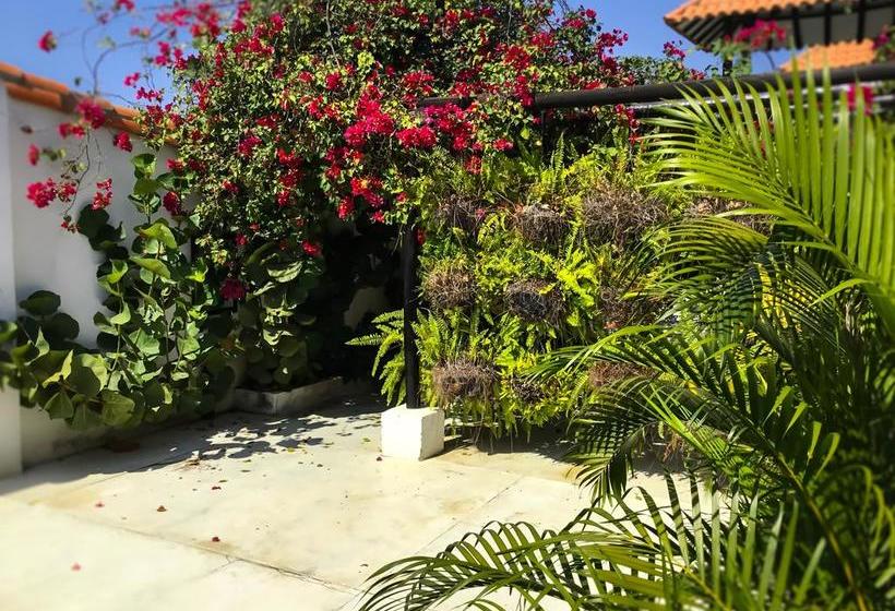 Bed and Breakfast Casa Ines | Santa Marta | Magdalena | Colombia 18