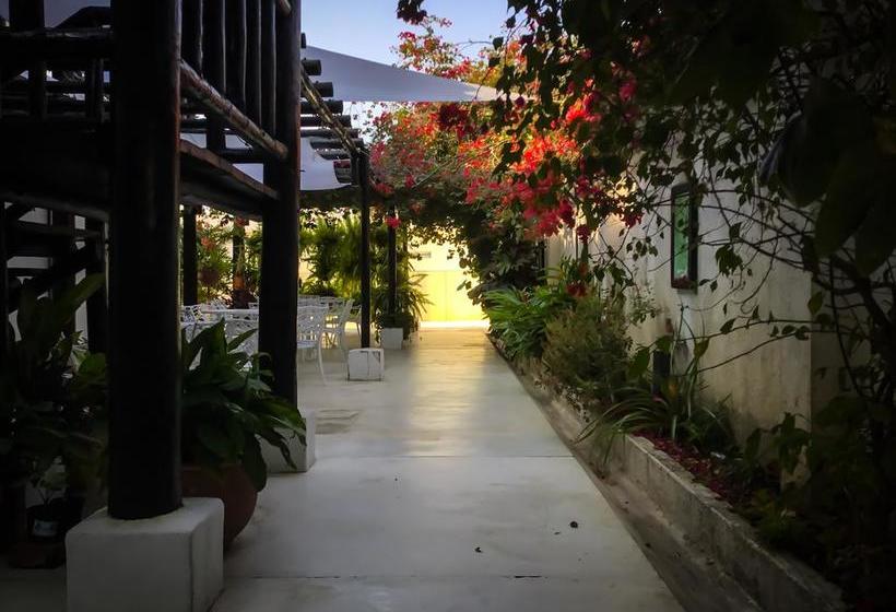 Bed and Breakfast Casa Ines | Santa Marta | Magdalena | Colombia 7