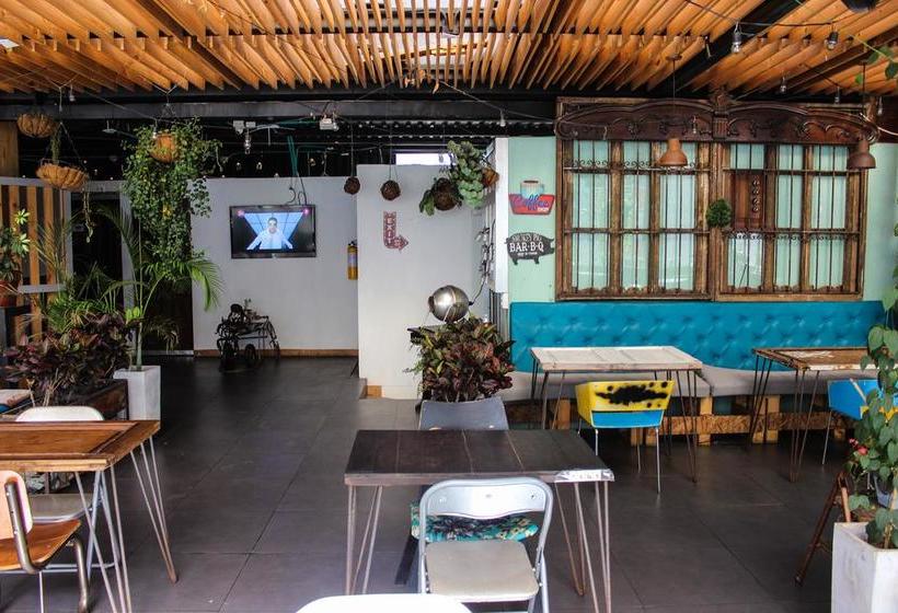 Hotel Gallery | Medellín | Antioquia | Colombia 15