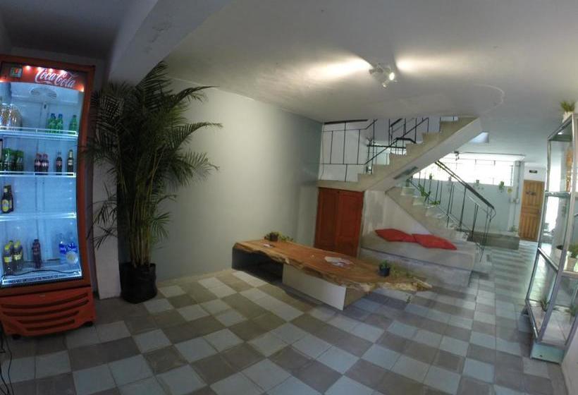 Albergue Casa Estación | Medellín | Antioquia | Colombia 9