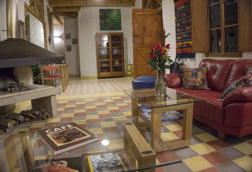 Hotel Terrazas De Salento | Salento | Quindío | Colombia 8