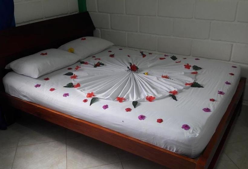 Hotel Hospedaje Las Palmeras | Capurganá | Choco | Kolumbien 14