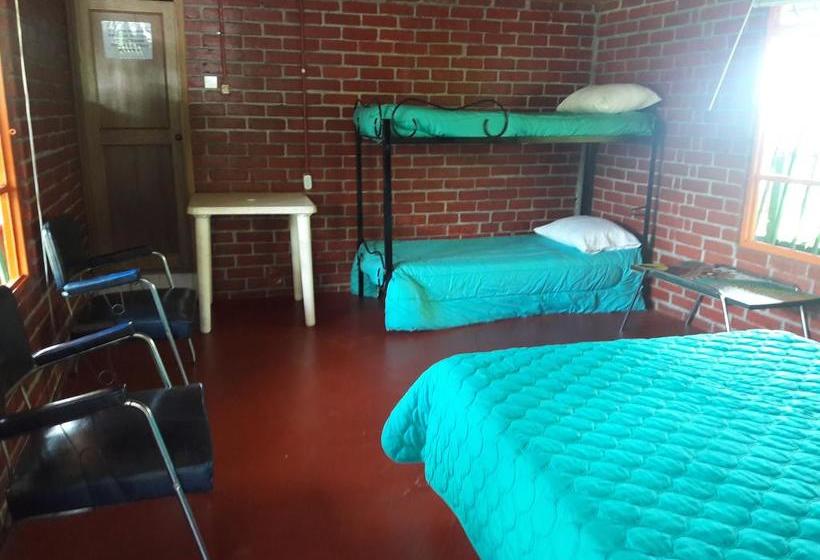 Hotel Finca Agroturistica Mis Delirios | Salento | Quindío | Colombia 10