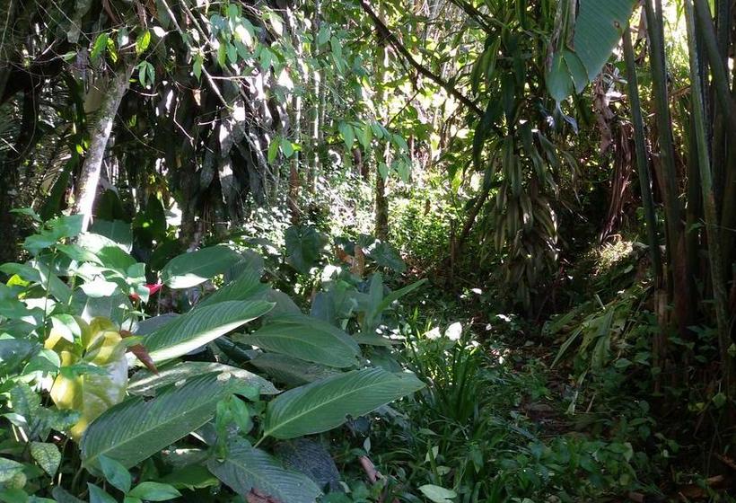 Hotel Finca Agroturistica Mis Delirios | Salento | Quindío | Colombia 20