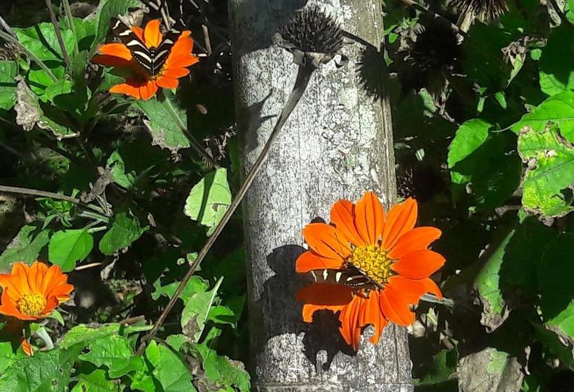 Hotel Finca Agroturistica Mis Delirios | Salento | Quindío | Colombia 6