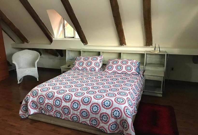 Casa Escollera Bed & Breakfast | Santa Marta | Magdalena | Colombia 1