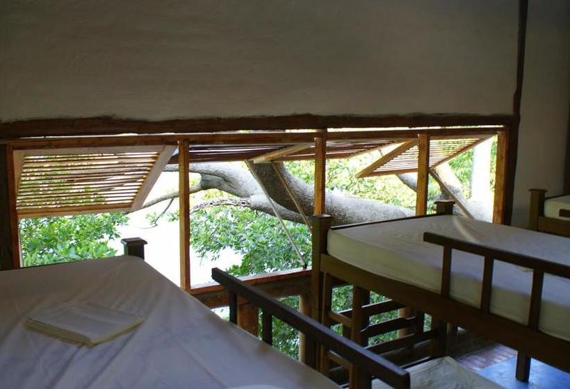 Casa Escollera Bed & Breakfast | Santa Marta | Magdalena | Colombia 20