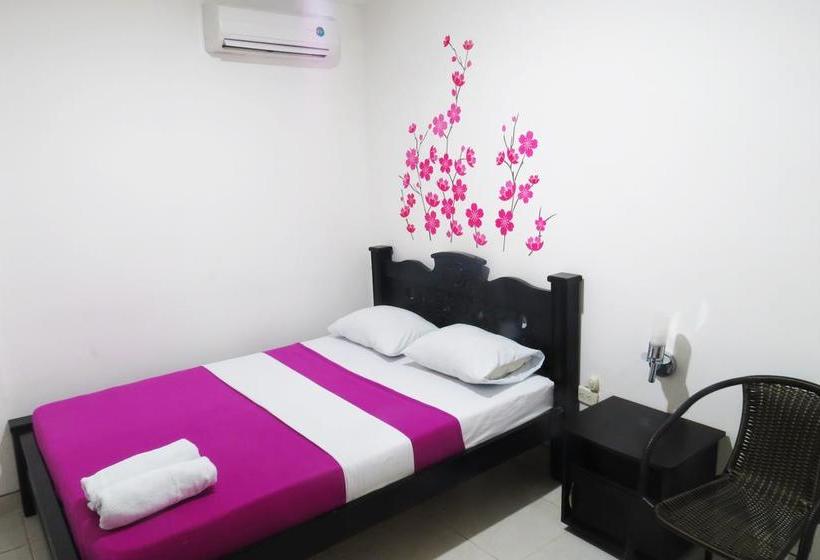 Hotel Plaza Roma | Riohacha | La Guajira | Colombia 15