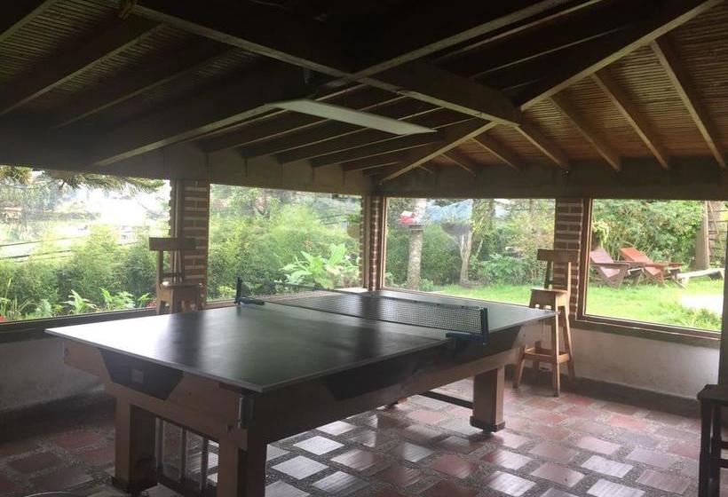 Al Bosque Hostel & Glamping Antioquia