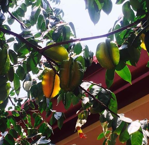 Hotel Casa Alegre Art Gallery | Cali | Valle del Cauca | Colombia 1