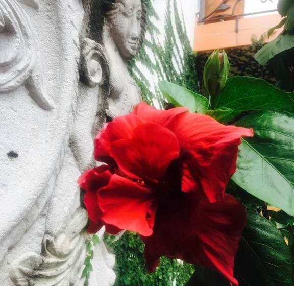 Hotel Casa Alegre Art Gallery | Cali | Valle del Cauca | Colombia 5