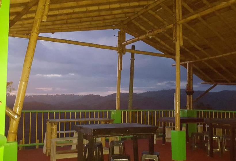 Albergue Hostal Los Girasoles | Salento | Quindío | Colombia 1