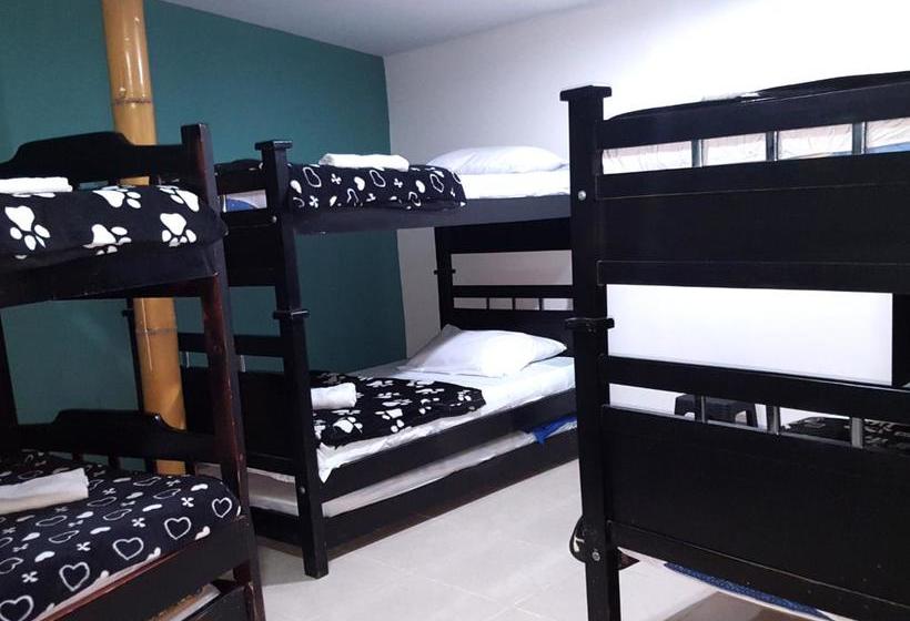 Albergue Hostal Los Girasoles | Salento | Quindío | Colombia 13