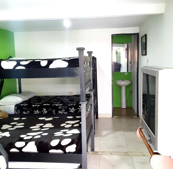 Albergue Hostal Los Girasoles | Salento | Quindío | Colombia 19