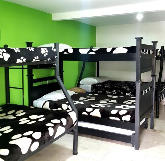 Albergue Hostal Los Girasoles | Salento | Quindío | Colombia 20