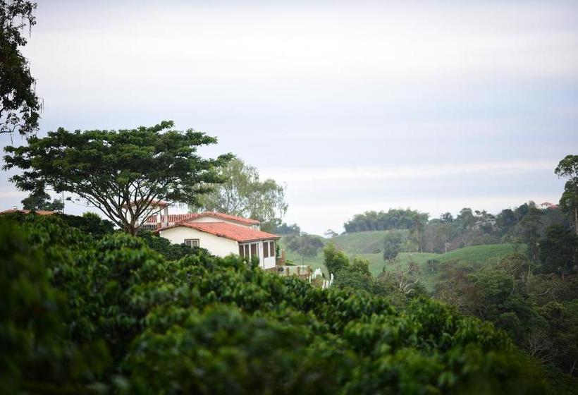 Hotel Estrella Del Monte | Armenia | Quindío | Colombia 3