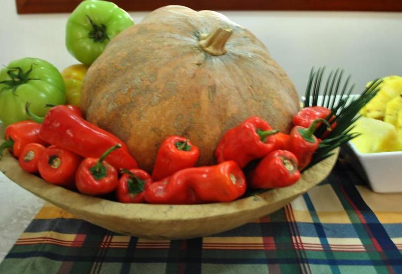 Hotel Majayura | Riohacha | La Guajira | Kolumbien 10