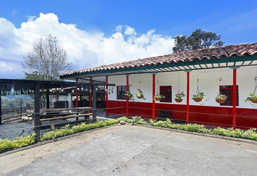 Albergue Ecohostal Las Camelias Salento Quindío