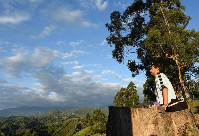 Albergue Ecohostal Las Camelias | Salento | Quindío | Colombia 10