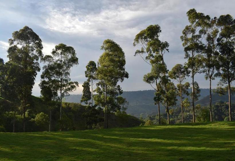 Albergue Ecohostal Las Camelias | Salento | Quindío | Colombia 11