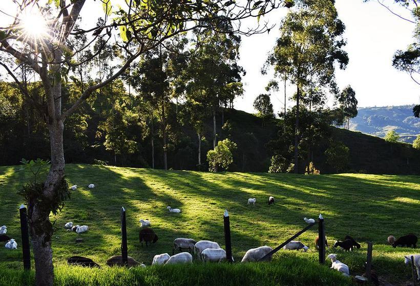 Albergue Ecohostal Las Camelias | Salento | Quindío | Colombia 12