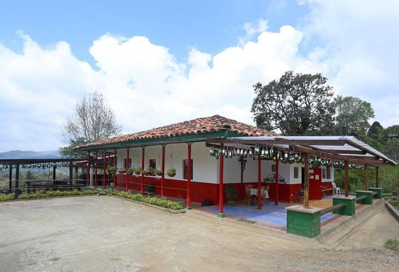 Albergue Ecohostal Las Camelias | Salento | Quindío | Colombia 14