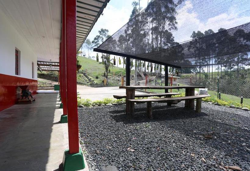 Albergue Ecohostal Las Camelias | Salento | Quindío | Colombia 15