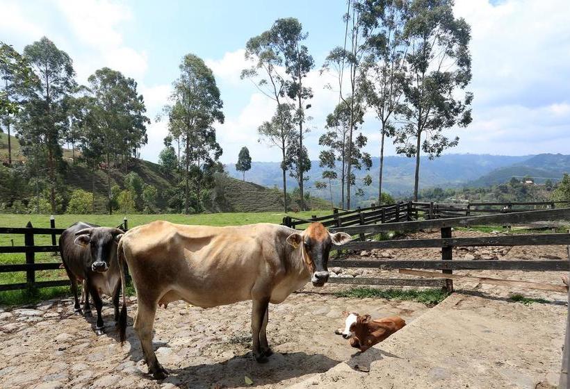 Albergue Ecohostal Las Camelias | Salento | Quindío | Colombia 18