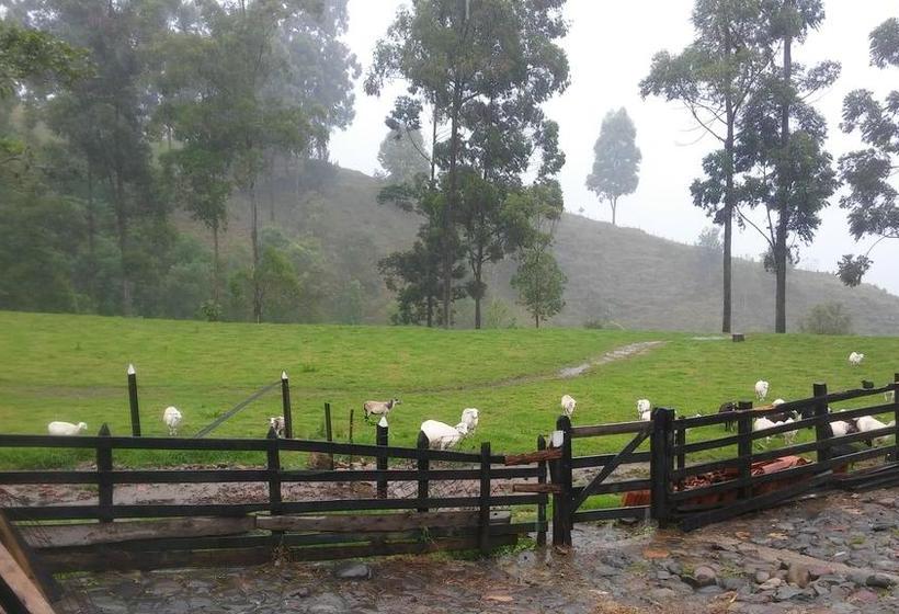 Albergue Ecohostal Las Camelias | Salento | Quindío | Colombia 6