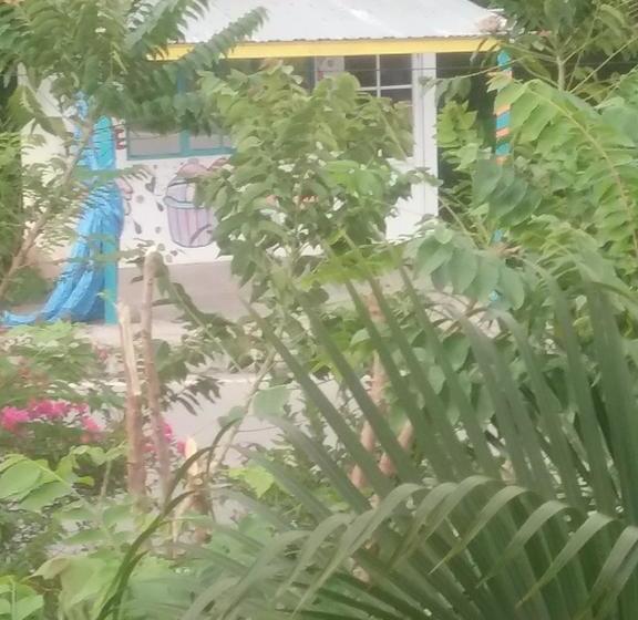 Bed and Breakfast Posada Manchineelroad | Providencia | San Andres y Providencia | Colombia 10