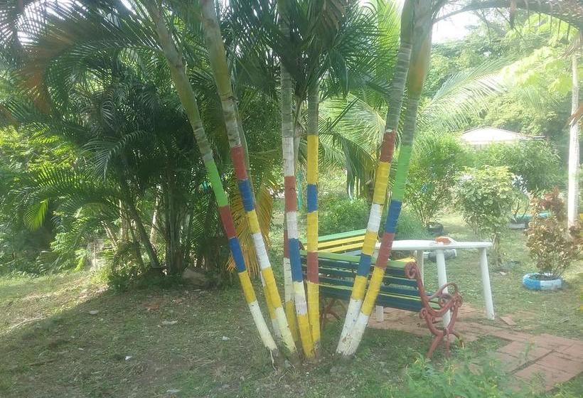 Bed and Breakfast Posada Manchineelroad | Providencia | San Andres y Providencia | Colombia 11