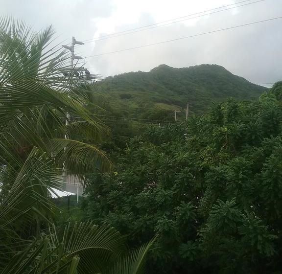 Bed and Breakfast Posada Manchineelroad | Providencia | San Andres y Providencia | Colombia 4