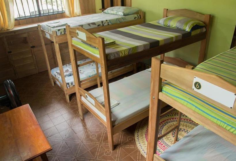Bed and Breakfast Hostel Casa De Las Palmas | Leticia | Amazonas | Colombia 10
