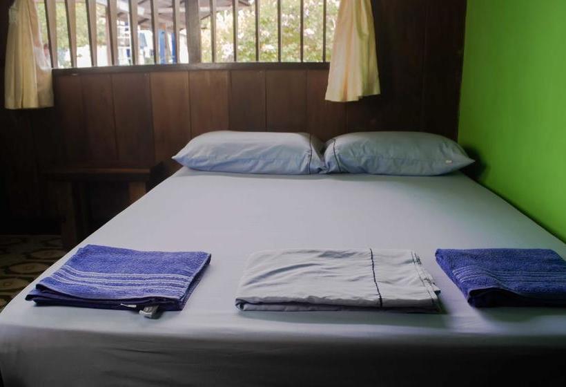 Bed and Breakfast Hostel Casa De Las Palmas | Leticia | Amazonas | Colombia 12