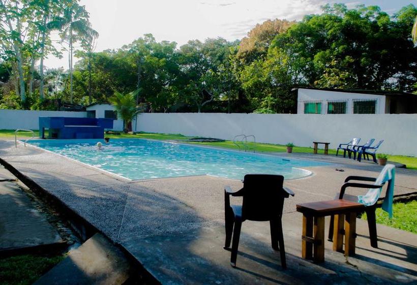 Bed and Breakfast Hostel Casa De Las Palmas | Leticia | Amazonas | Colombia 13