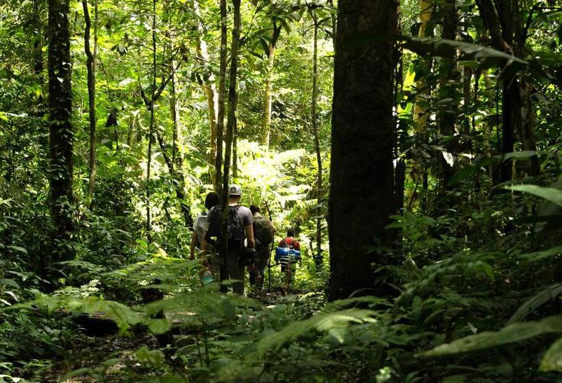 Bed and Breakfast Hostel Casa De Las Palmas | Leticia | Amazonas | Colombia 16