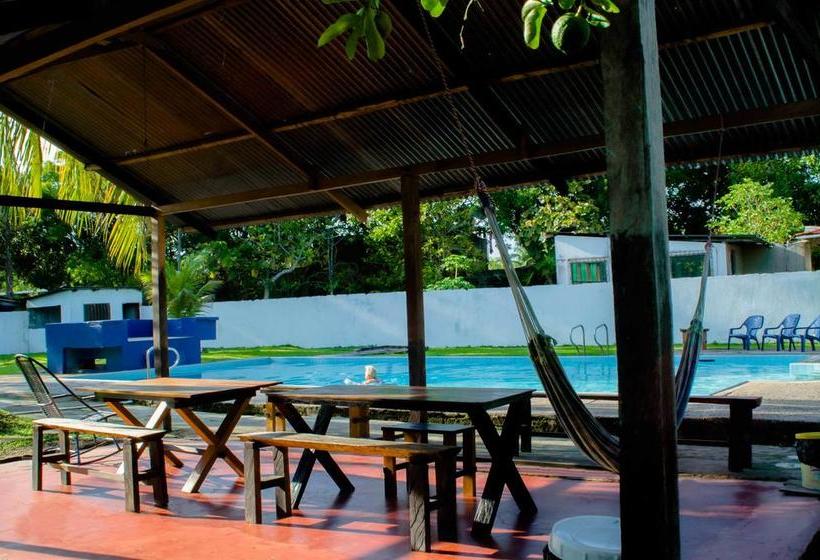 Bed and Breakfast Hostel Casa De Las Palmas | Leticia | Amazonas | Colombia 19