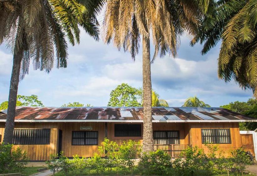 Bed and Breakfast Hostel Casa De Las Palmas | Leticia | Amazonas | Colombia 3