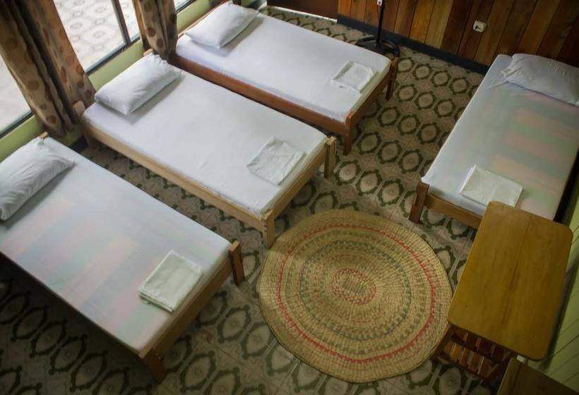 Bed and Breakfast Hostel Casa De Las Palmas | Leticia | Amazonas | Colombia 4