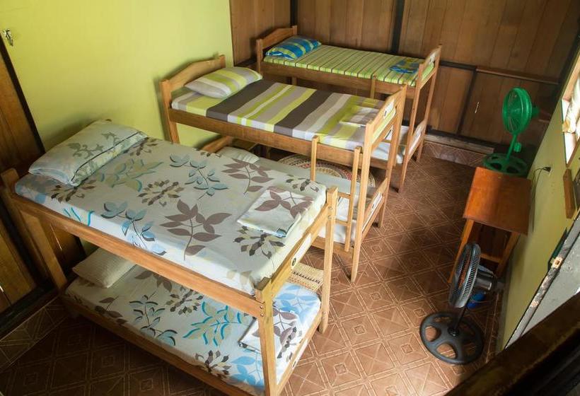 Bed and Breakfast Hostel Casa De Las Palmas | Leticia | Amazonas | Colombia 5