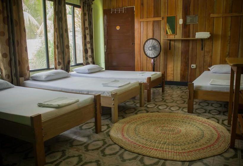 Bed and Breakfast Hostel Casa De Las Palmas | Leticia | Amazonas | Colombia 6