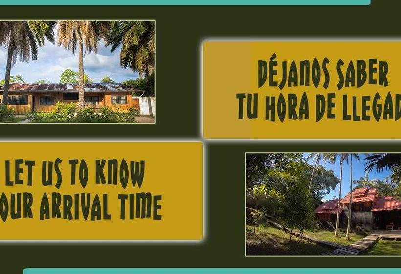 Bed and Breakfast Hostel Casa De Las Palmas | Leticia | Amazonas | Colombia 8