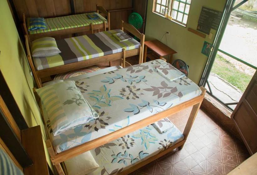Bed and Breakfast Hostel Casa De Las Palmas | Leticia | Amazonas | Colombia 9