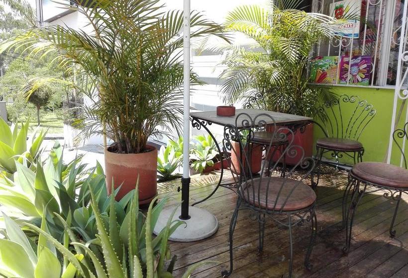 Spring City Hostel | Medellín | Antioquia | Colombia 10