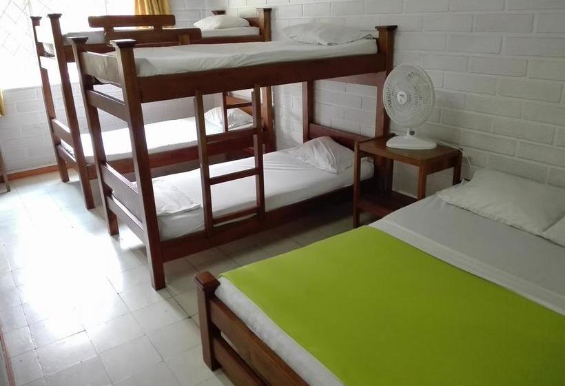 Spring City Hostel | Medellín | Antioquia | Colombia 18