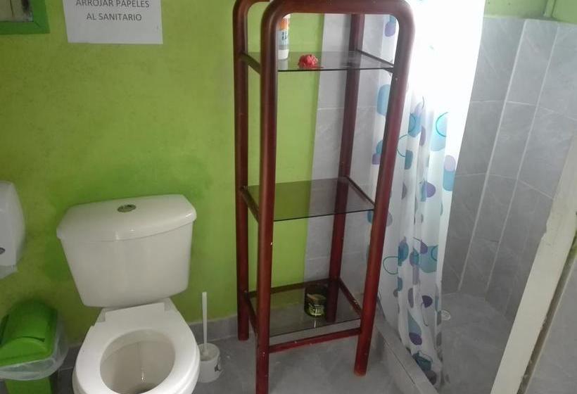 Spring City Hostel | Medellín | Antioquia | Colombia 3