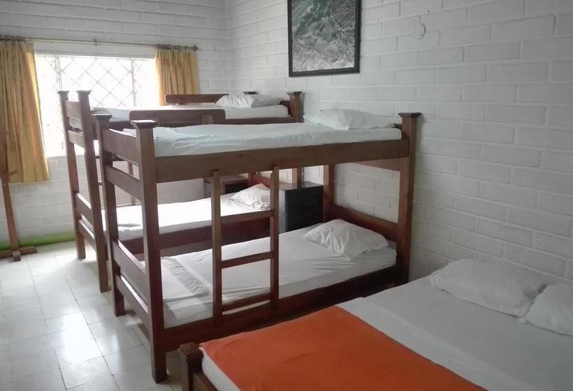 Spring City Hostel | Medellín | Antioquia | Colombia 7